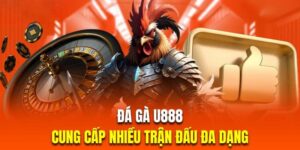 Cá cược đá gà – Đấu trường thú vị, chơi là thắng tại U888!